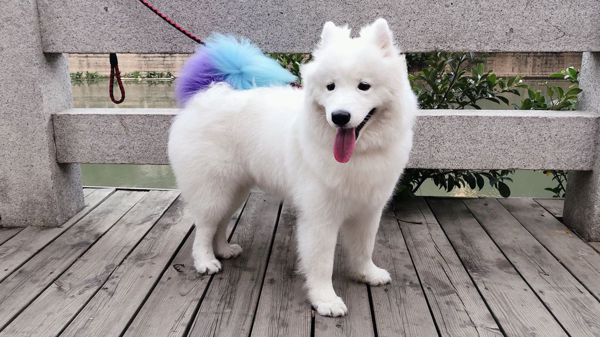 希腊神祇降临盐湖城，字母哥加时血战诠释何为攻防一体