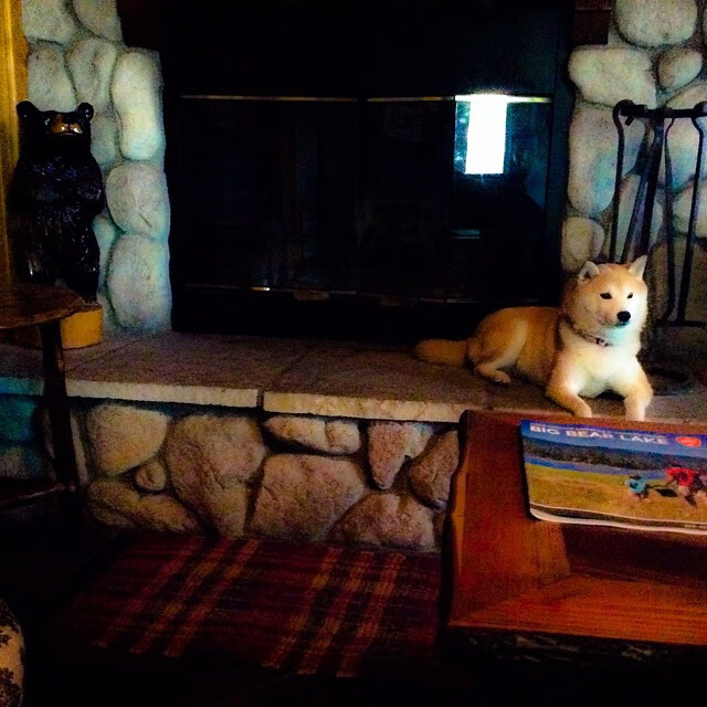 从特卡特到蒂亚戈,唯一性如何定义当代足球的价值坐标系