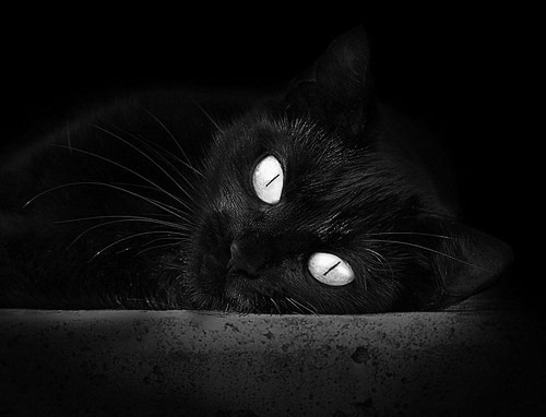 熄灭达拉斯星光！铁血古典派德罗赞用中距离写下冠军注脚