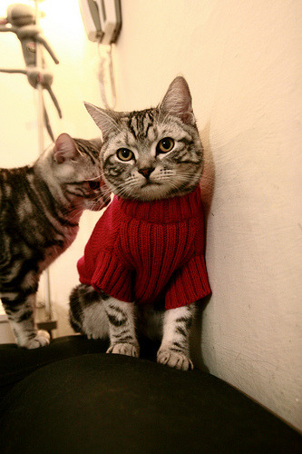 当秘鲁风暴席卷波兰，为何本泽马的无声证明更震撼人心？