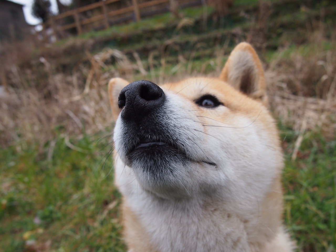 时空错位的对决?当勇士勇三疯遇上字母哥关键先生