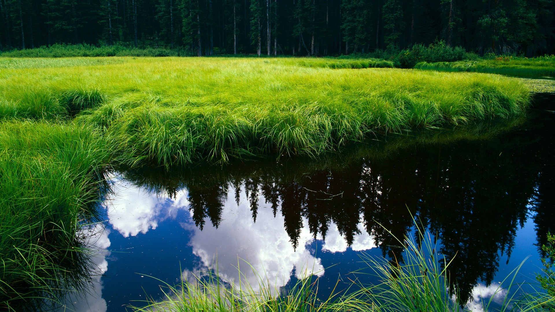街头飞驰与终场绝杀,在分秒间触碰永恒