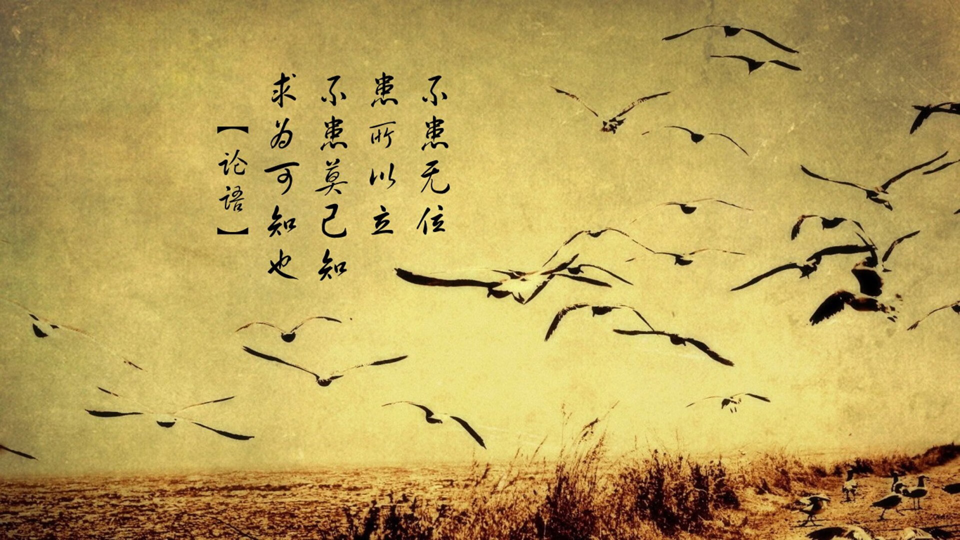 巴黎军团南半球展露獠牙，迪亚斯璀璨光芒照亮越大的舞台