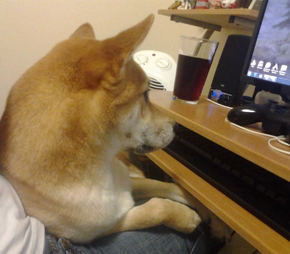 从饮水机守护神到一夜封神,当马克西让整个CBA重新念他的名字